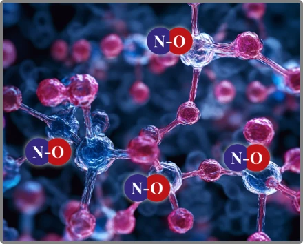 How Nitric Boost powder supports nitric oxide and blood flow